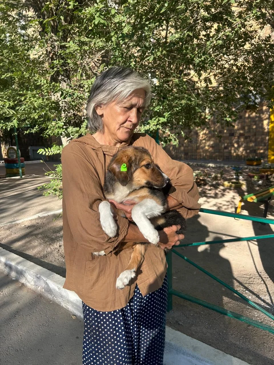 A woman holding a dog at a campaign site