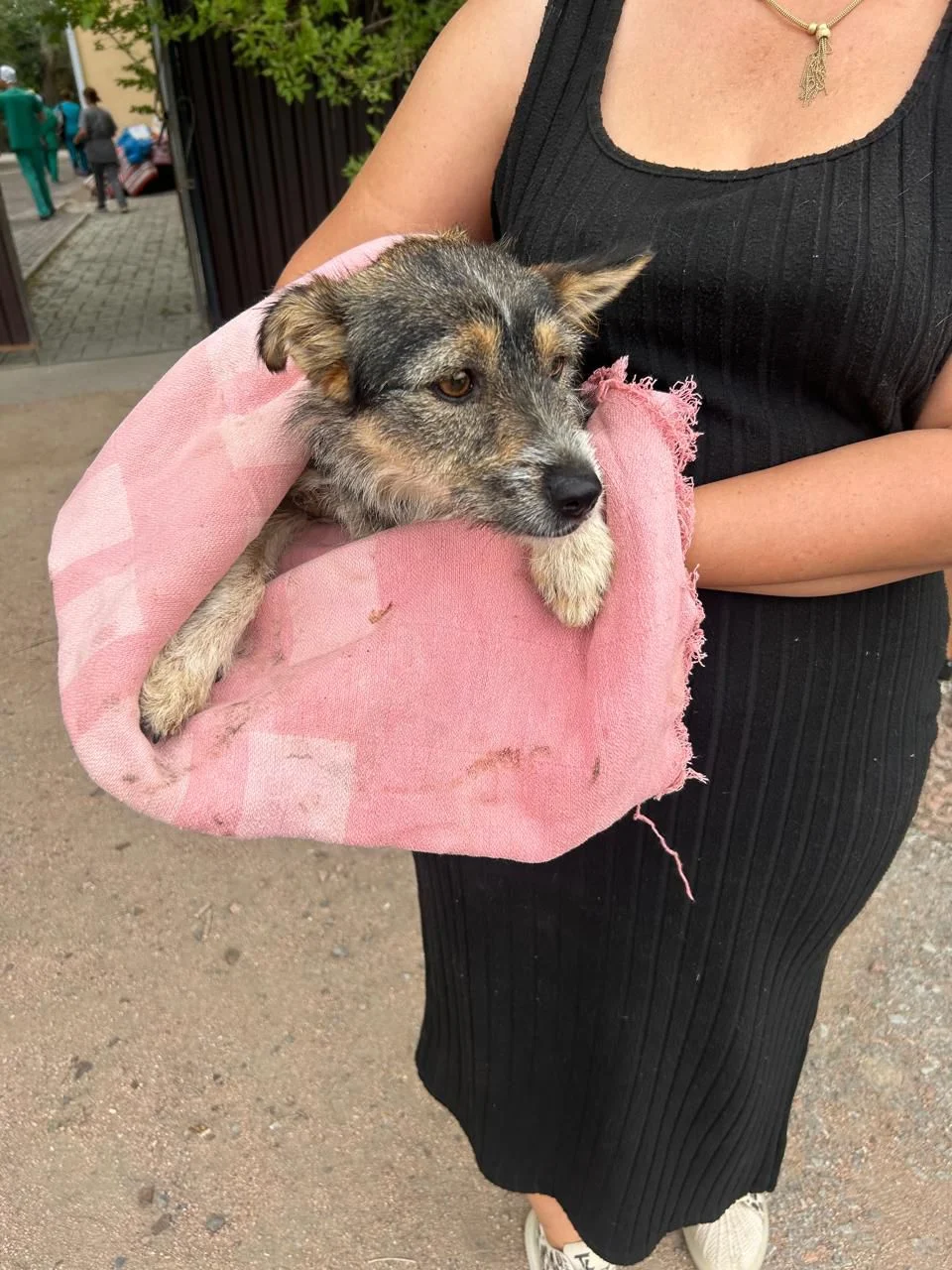 A woman holding a puppy wrapped in pink fabric