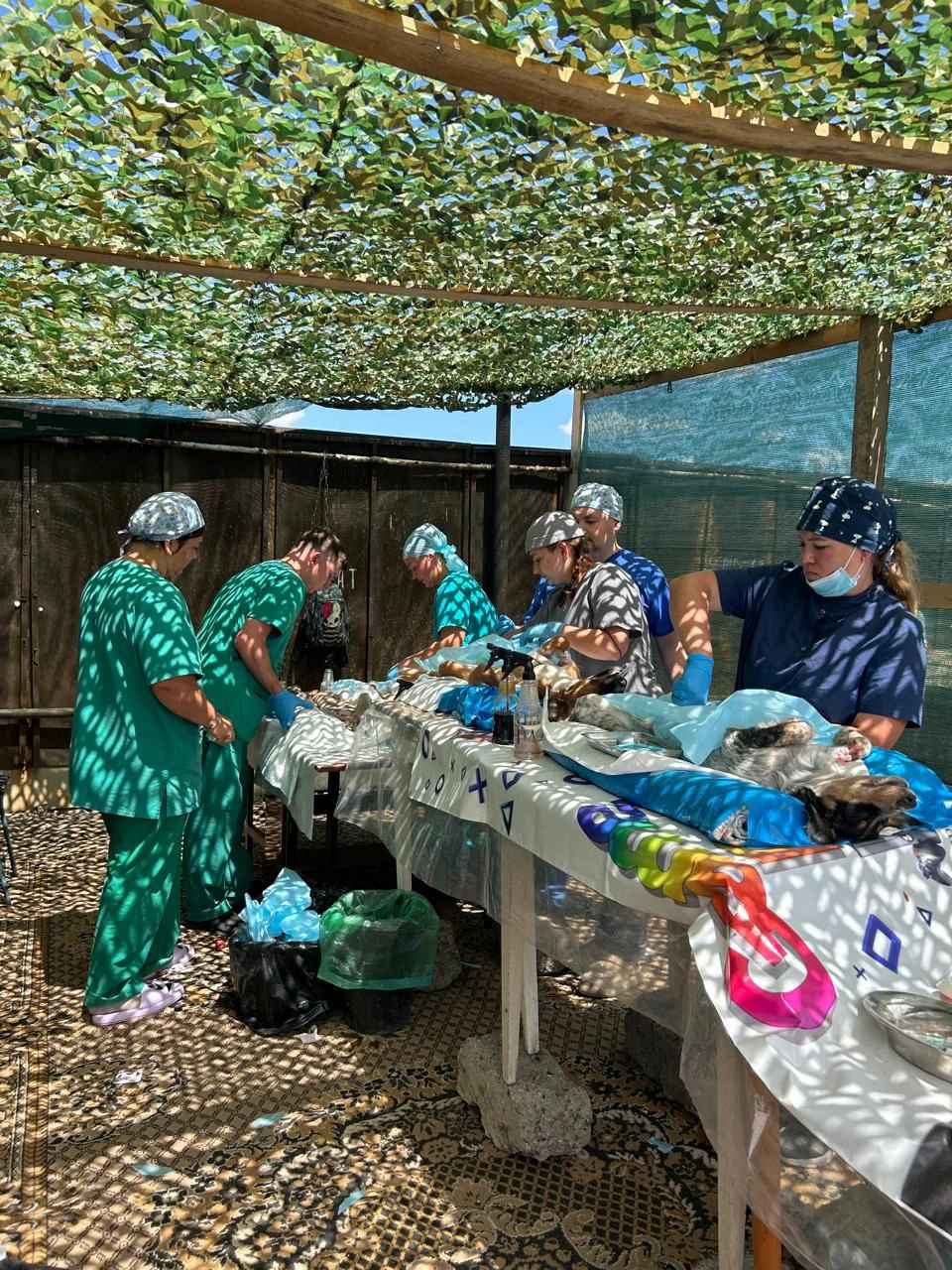 A veterinary team working at tables outdoors